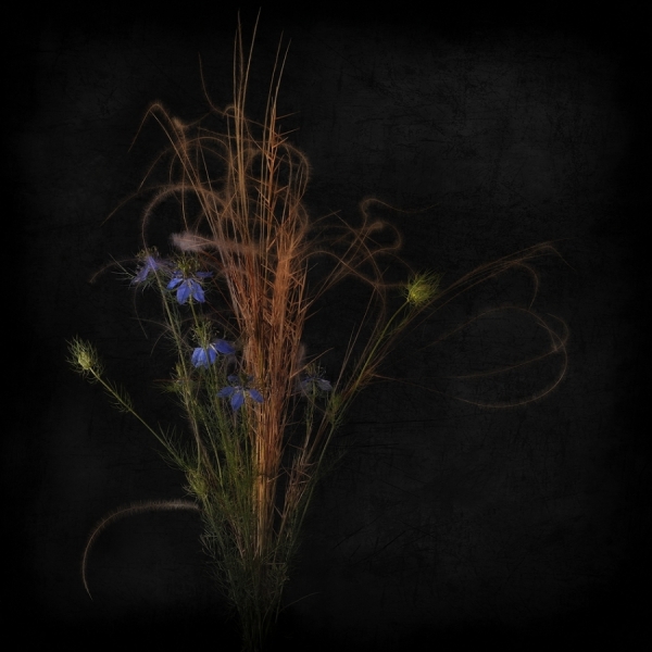 Photograph Michel Bochet Merand Floral on One Eyeland
